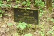 Стирман Лев Меерович, Москва, Востряковское кладбище